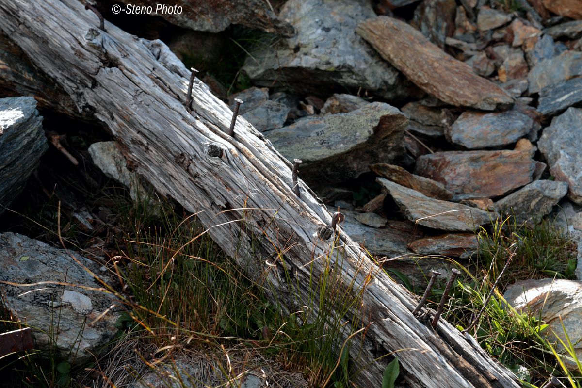 Old beams withered by time...