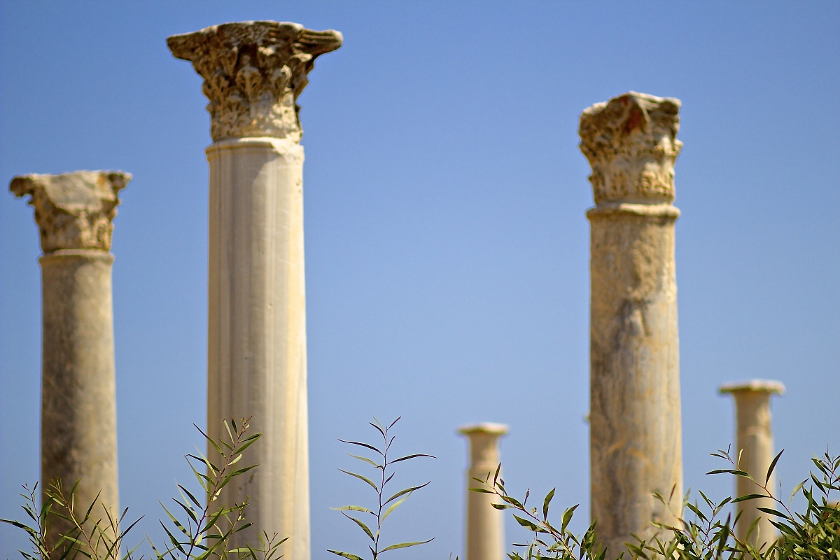 Salamis. the ruins...