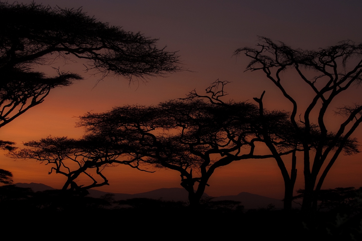 Africa sunrise...