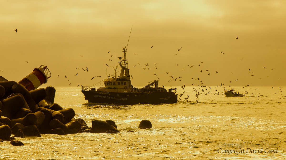 The Restaurant of the Gulls Back to Porto...