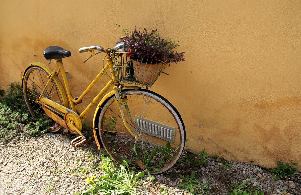 Yellow Bicycle - Burcina park...
