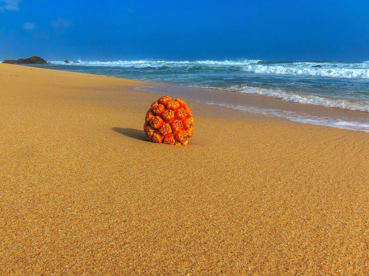 Sri Lanka - Wijaya Beach...