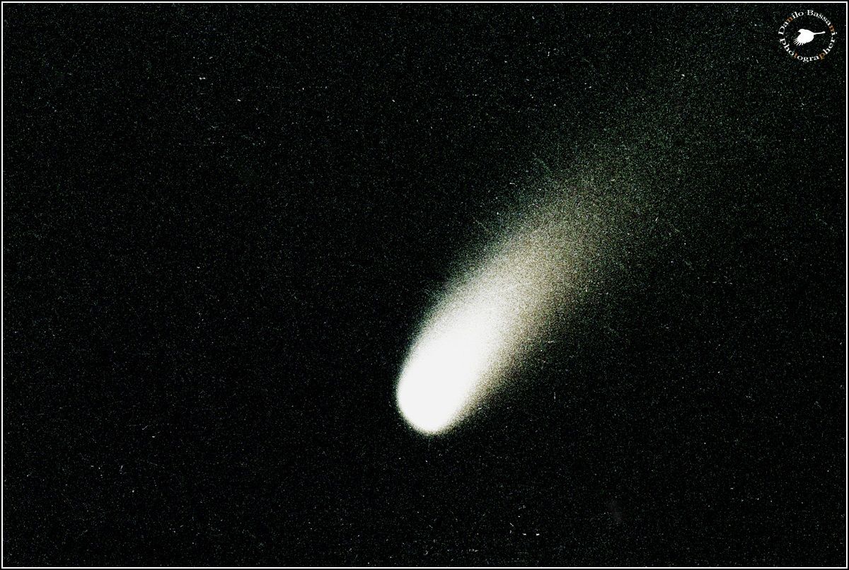 Halley's Comet...