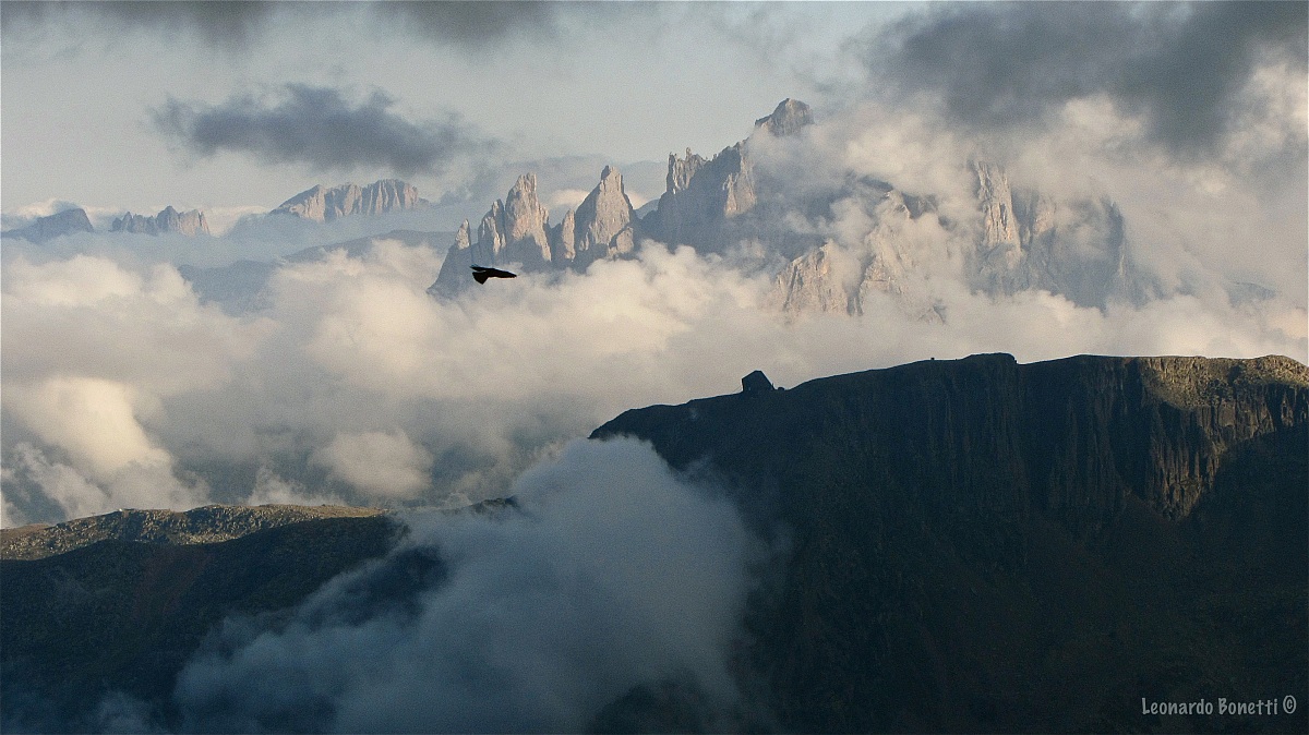 La quiete dopo la tempesta 2...