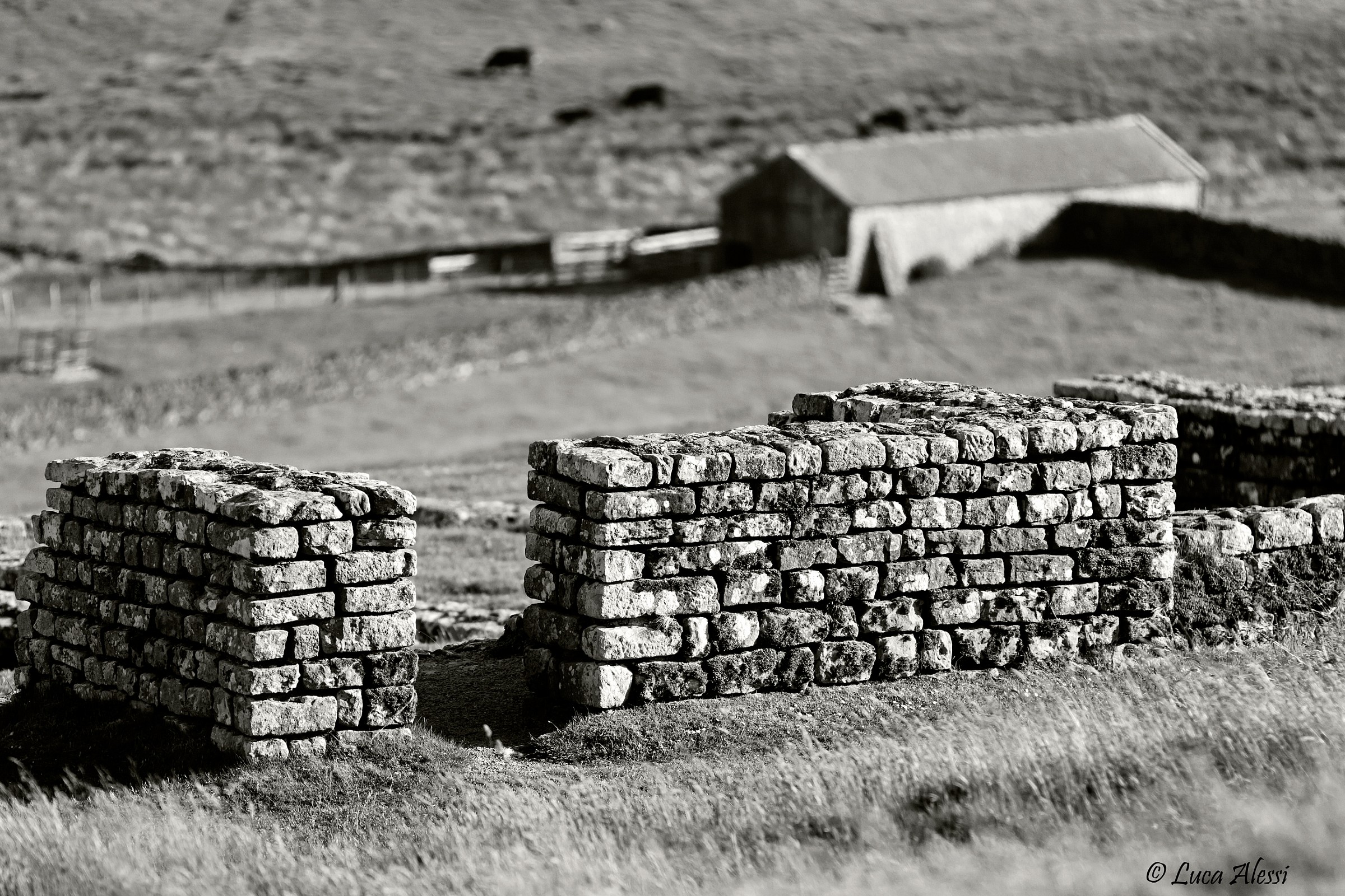 Stone houses a day...