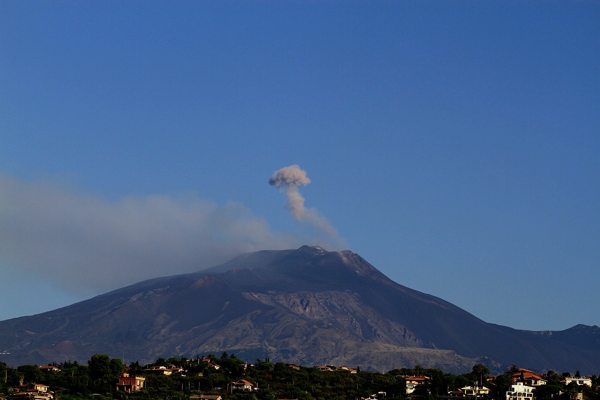 A fungus Etna...