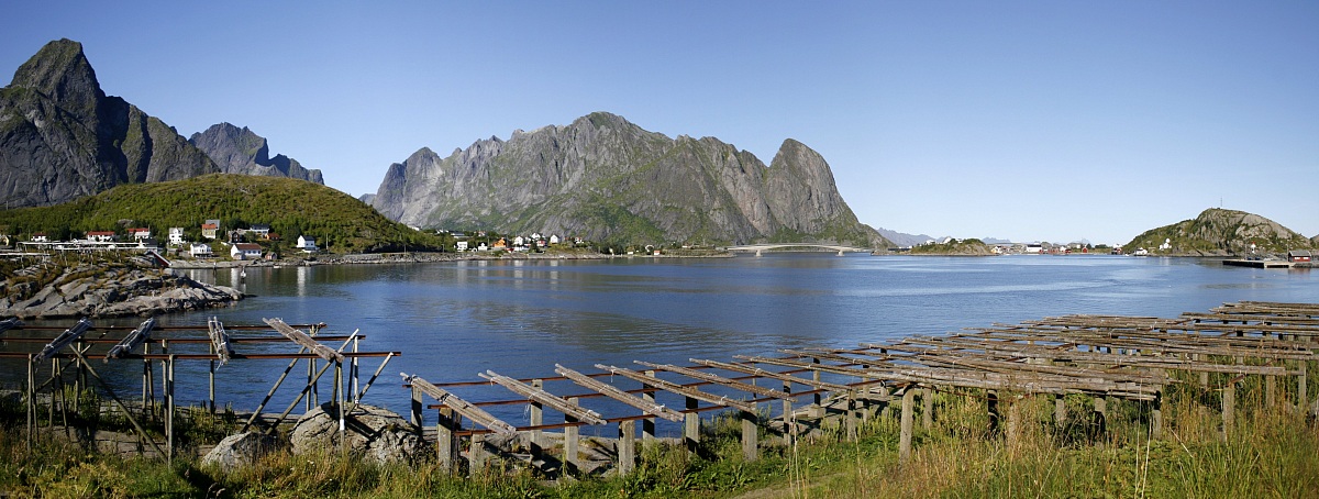 Reine...