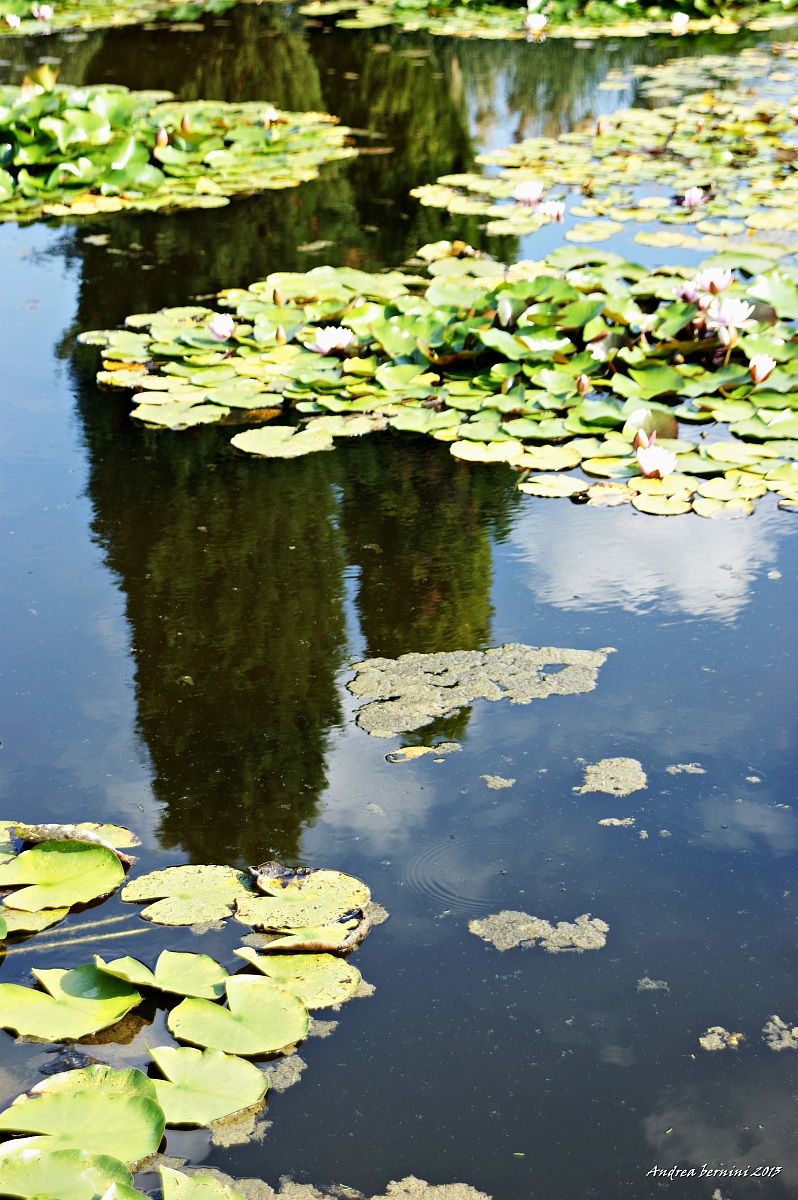 Untitled Photo...