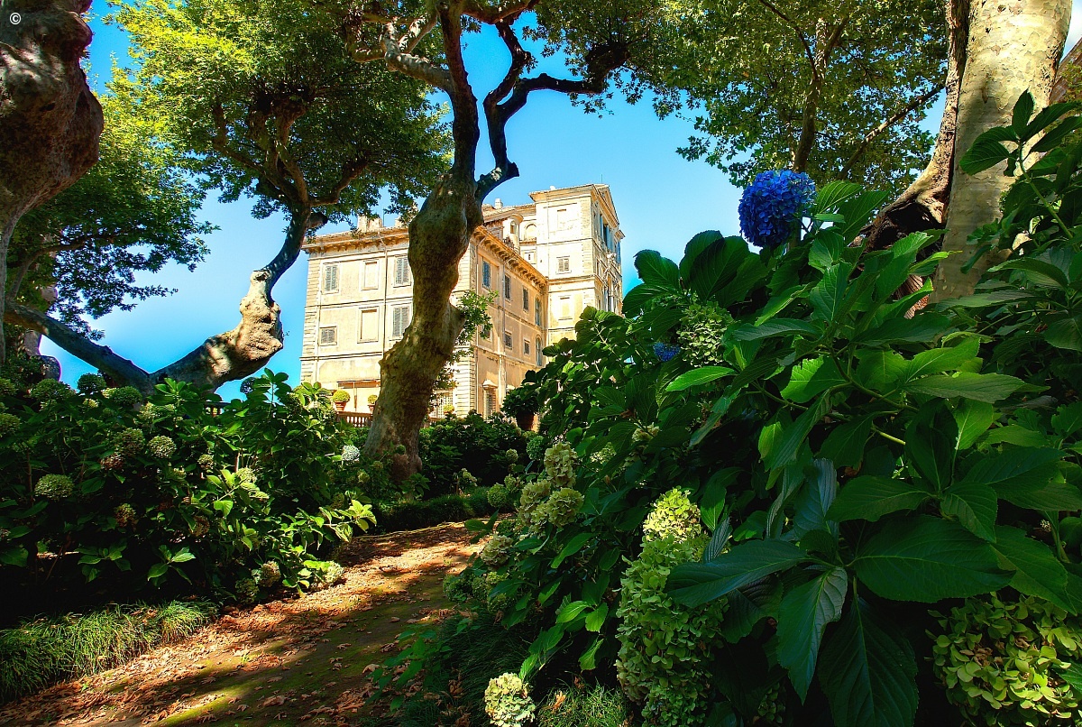 Giardino di Ortensie - Villa Aldobrandini Frascati...