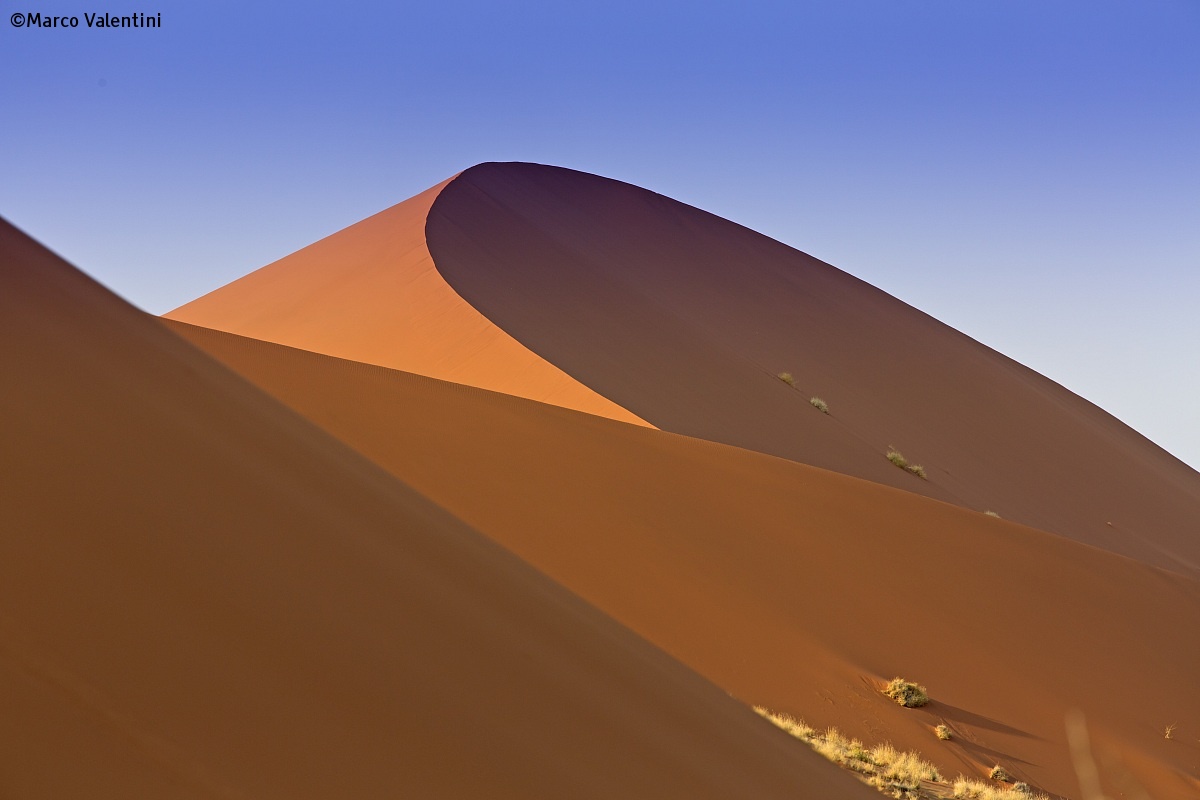 Linee di dune...