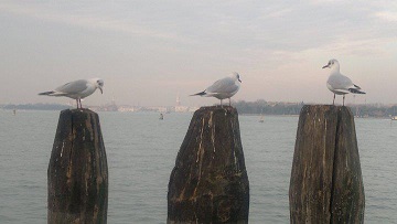 Untitled Photo...