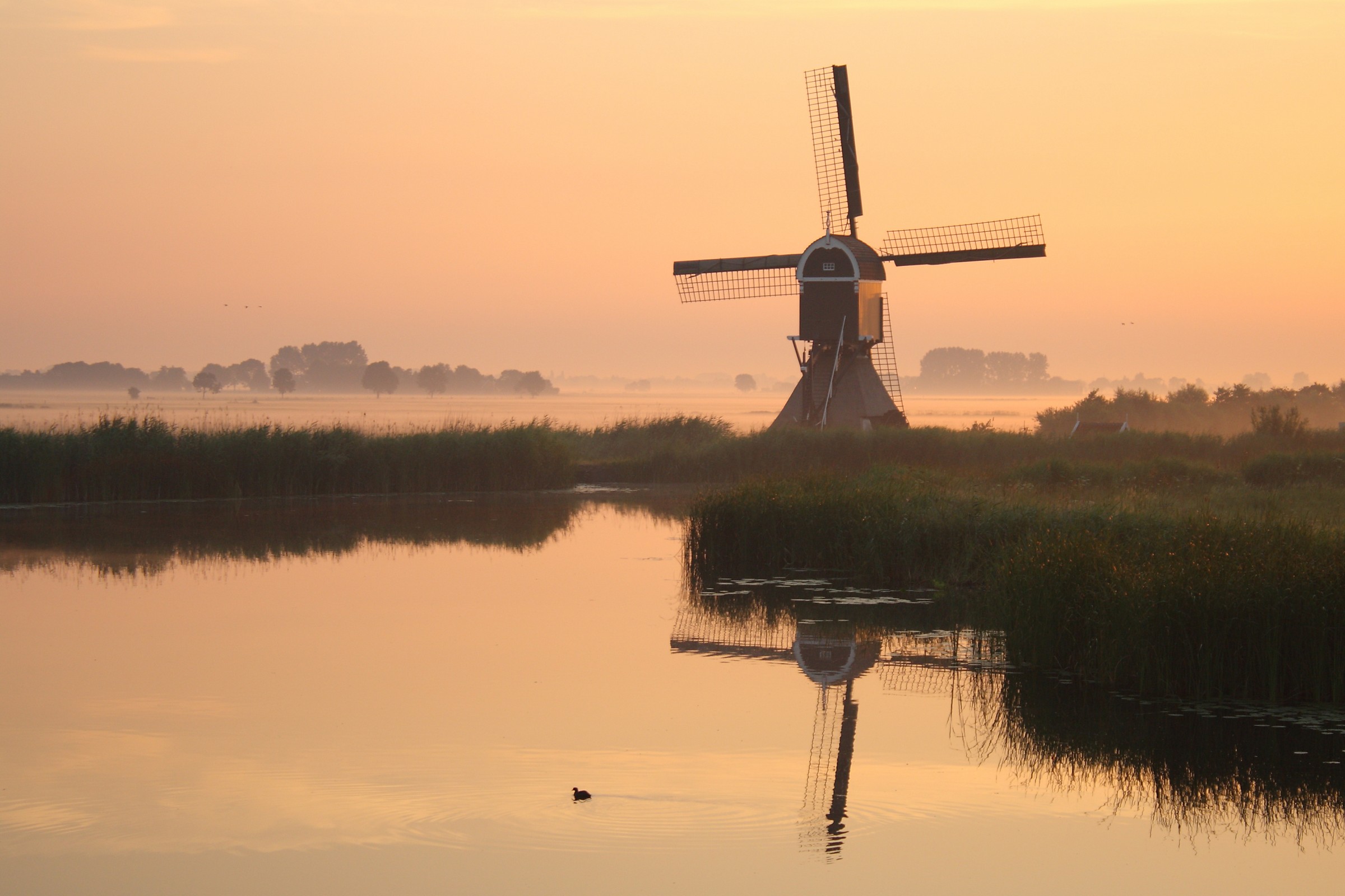 Dutch mill in the morning...