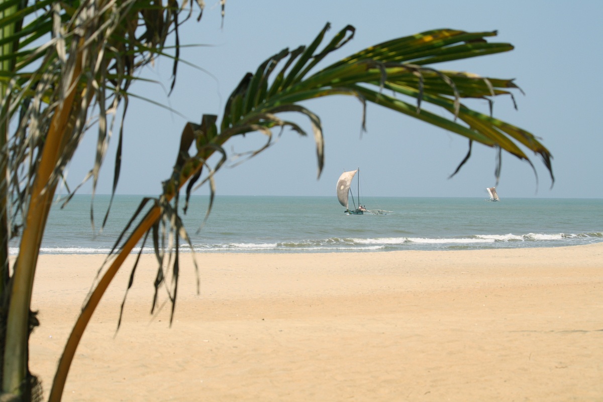 Finche la barca và..... Negombo, Sri Lanka...