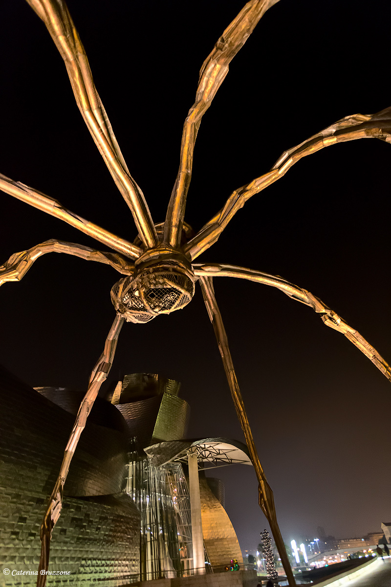 The Spider...