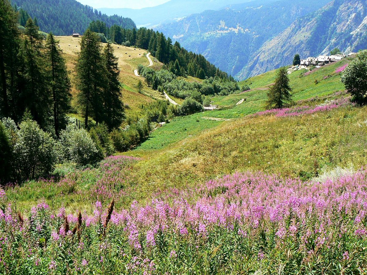 Valle d'Aosta...
