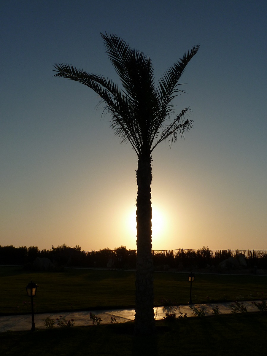 tramonto sulla palma...