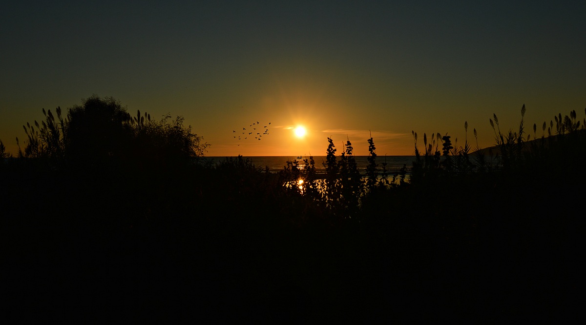 Untitled Photo...
