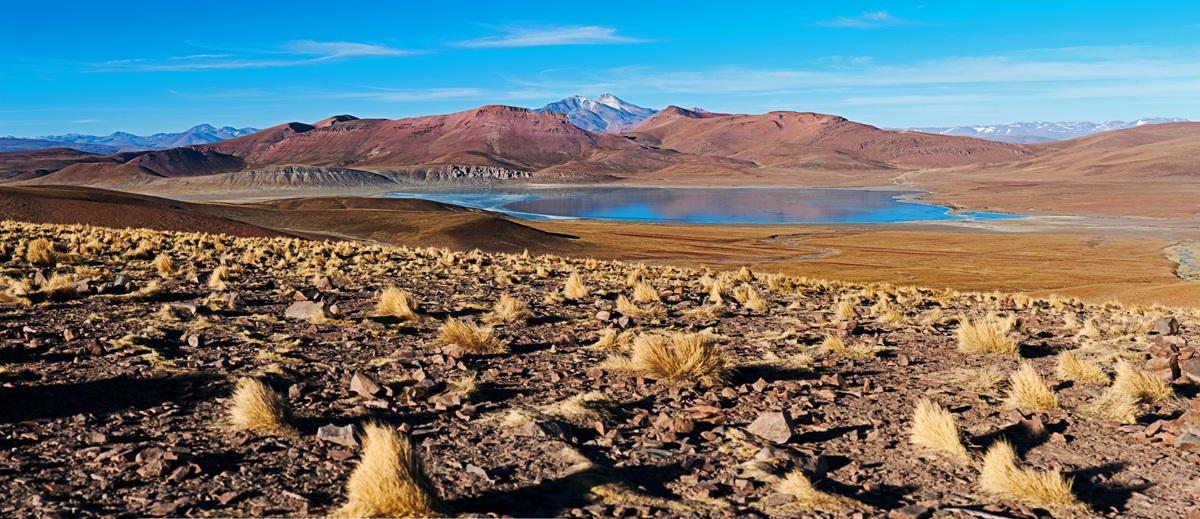Bolivia - South Laguna Hedionda...