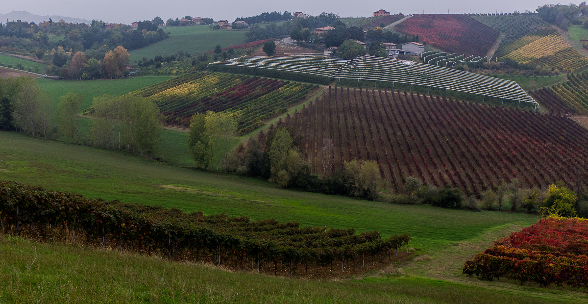 La collina del vino...