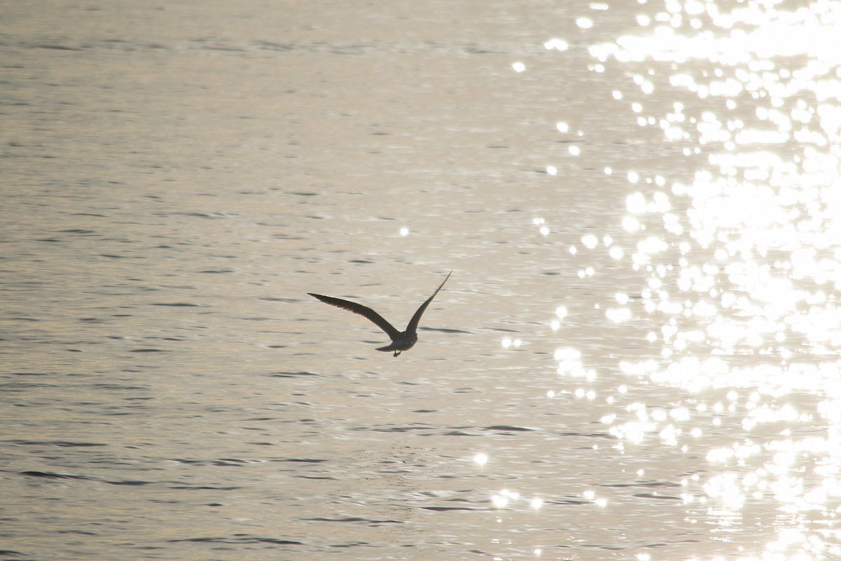 Untitled Photo...
