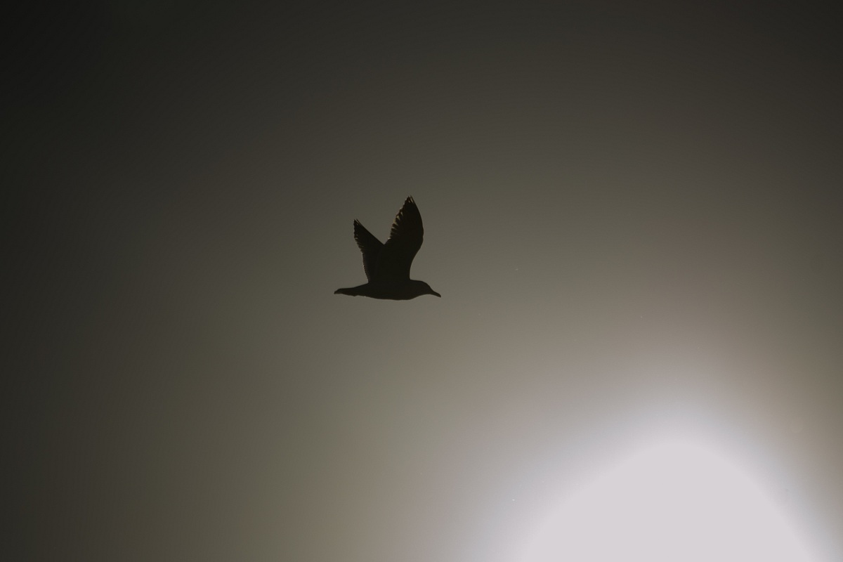 Untitled Photo...