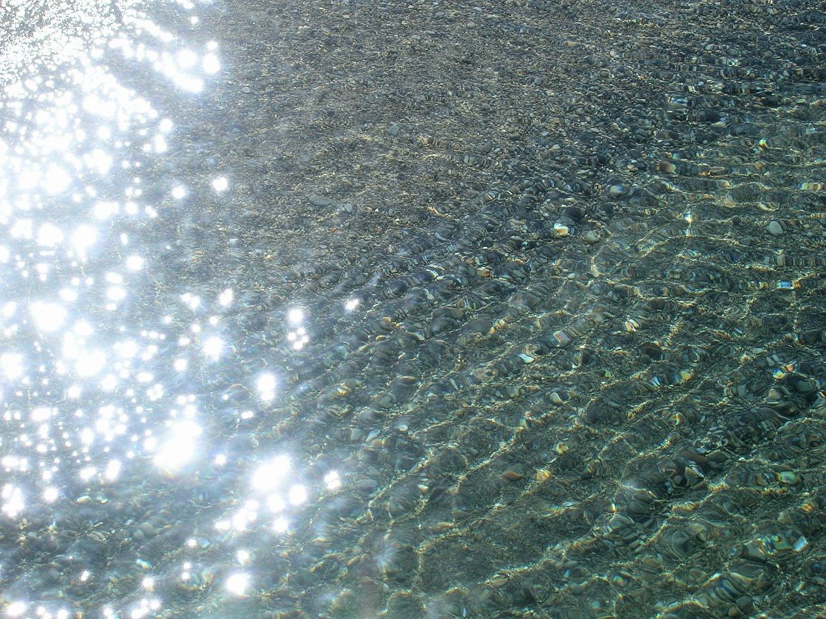 Untitled Photo...