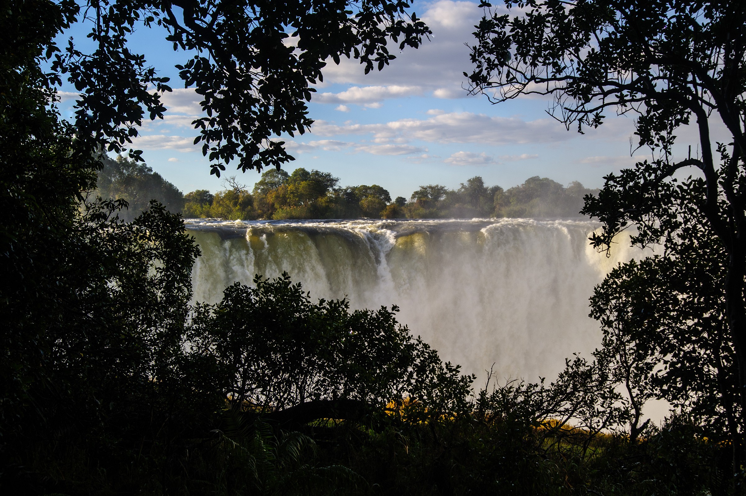 The Victoria Falls from the forest...