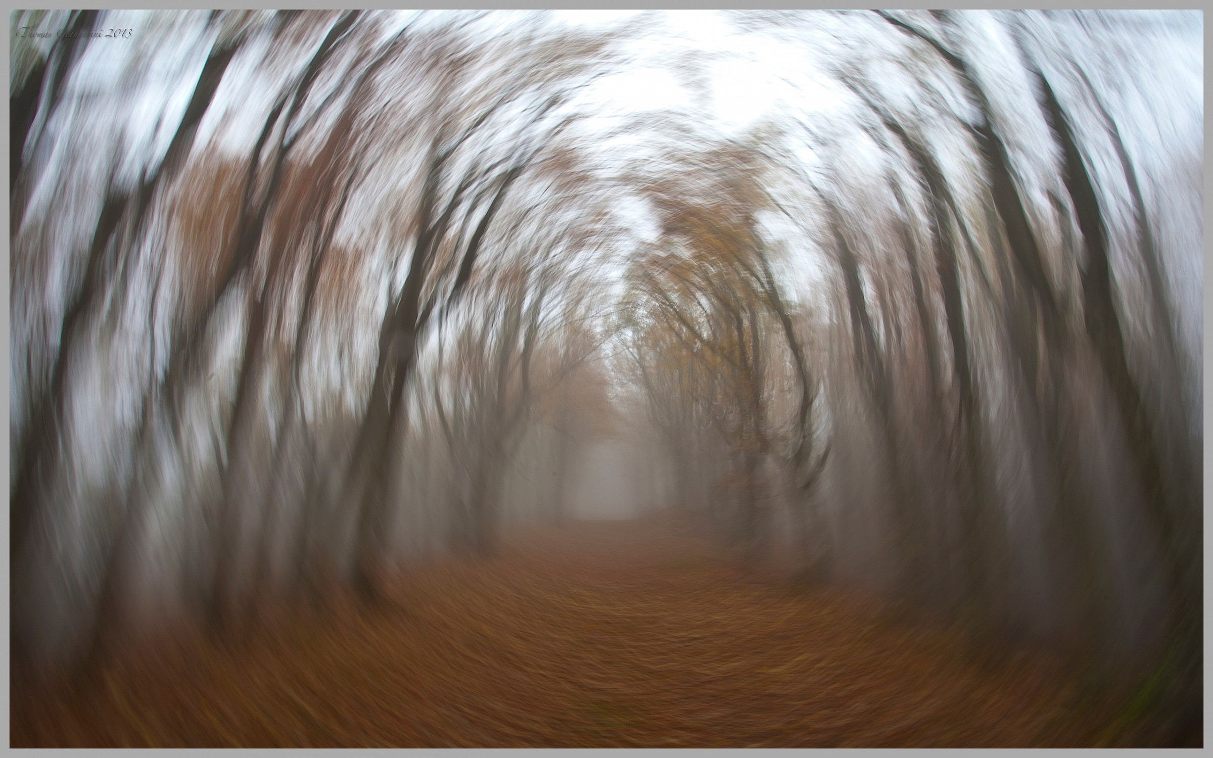 La nebbia mi confonde...