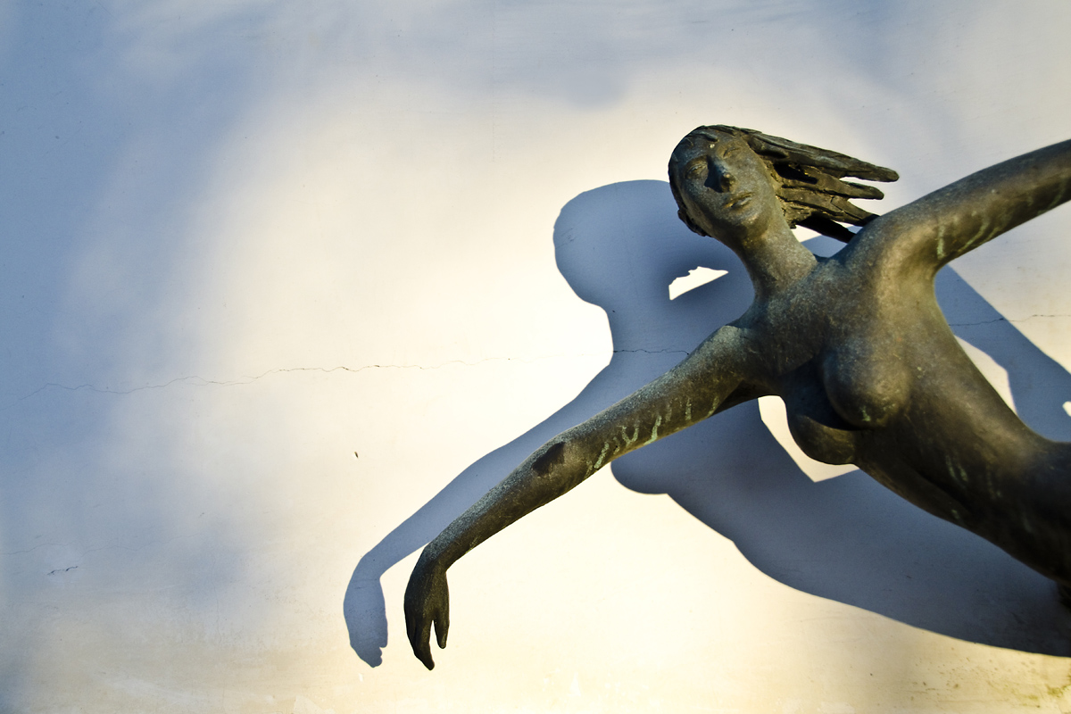 I fly...