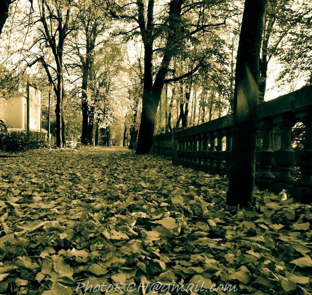 Untitled Photo...