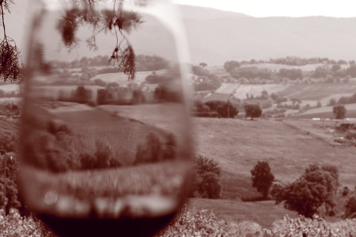 Vineggiando...