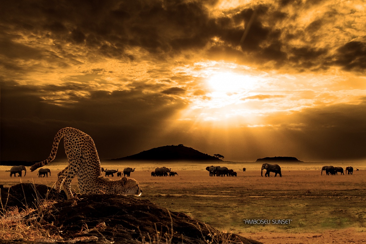 Amboseli sunset...