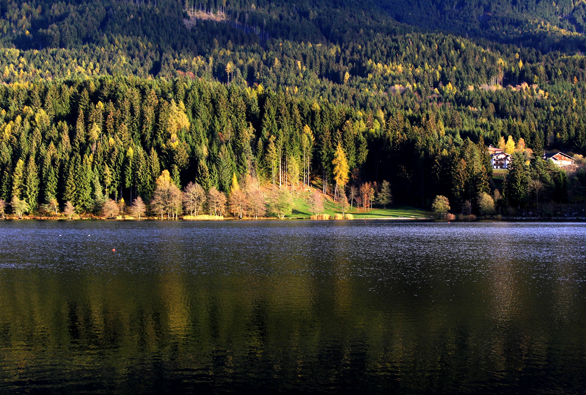 Lake Serràia in autumn...