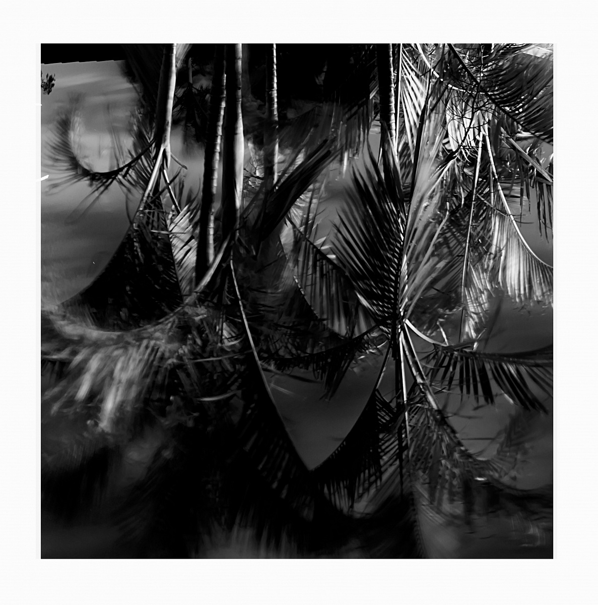 palms...