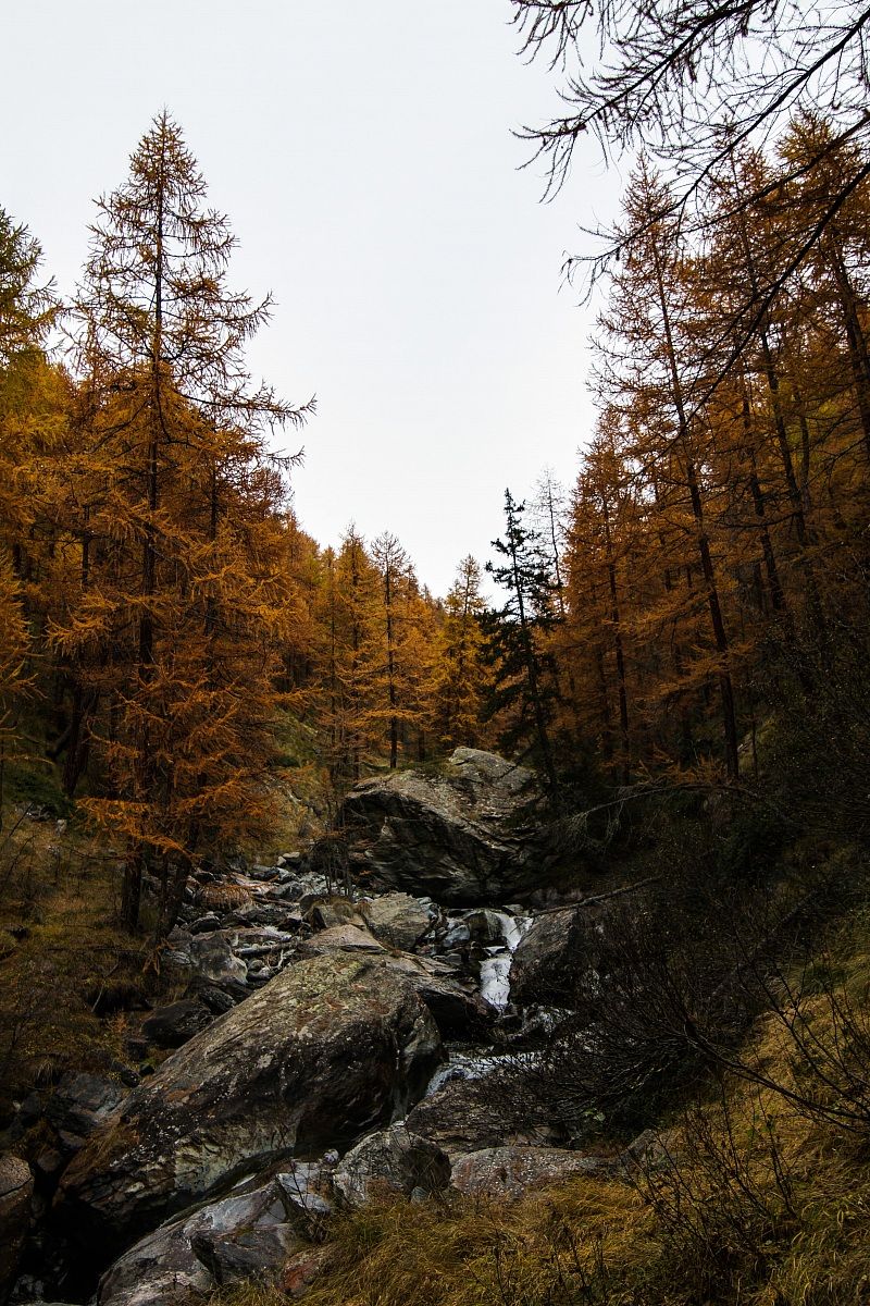 Val d'Ayas in autunno: Evançon...