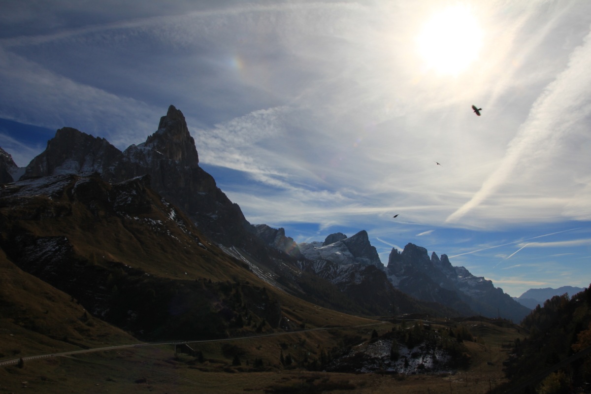 uccelli in volo su passo rolle...