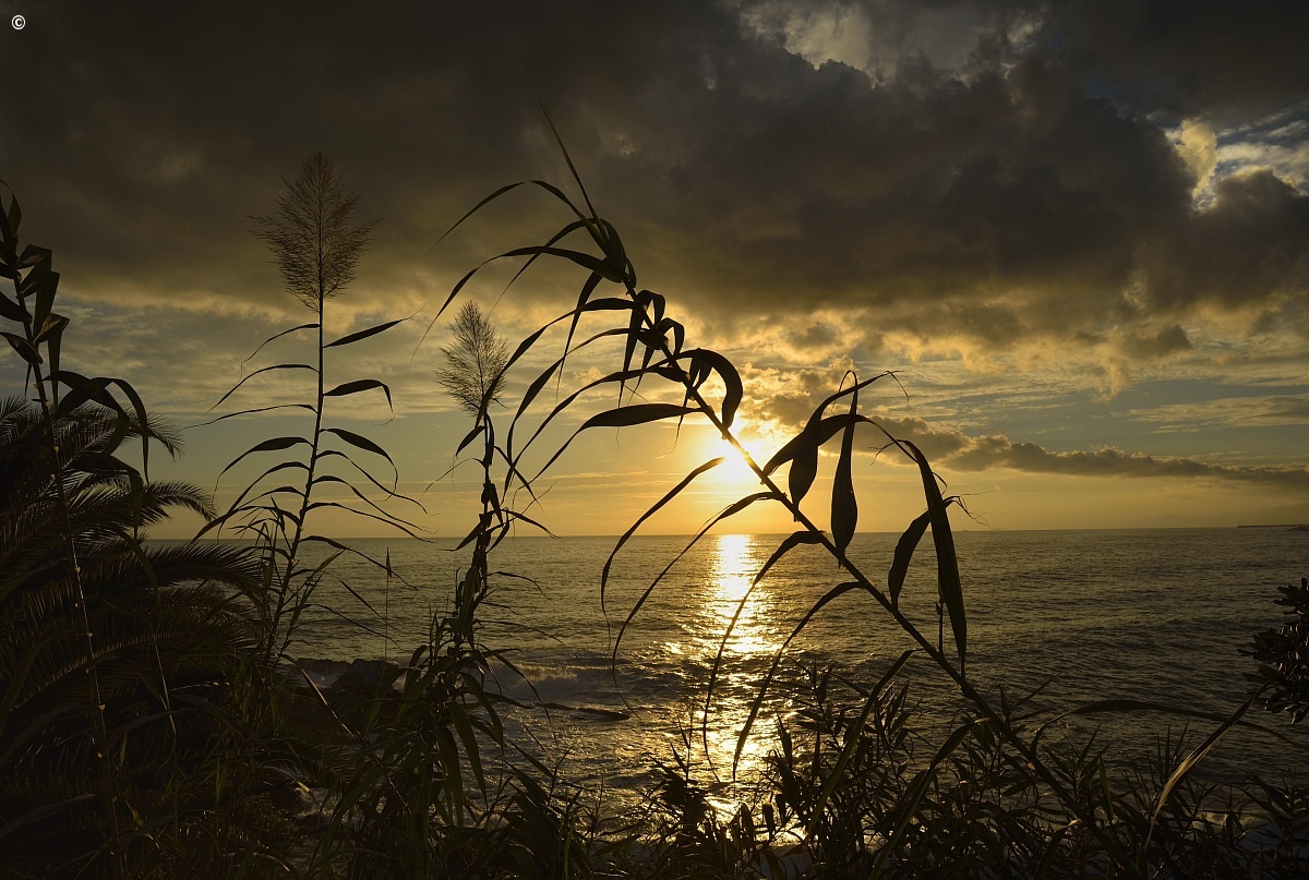 Sunset 4...
