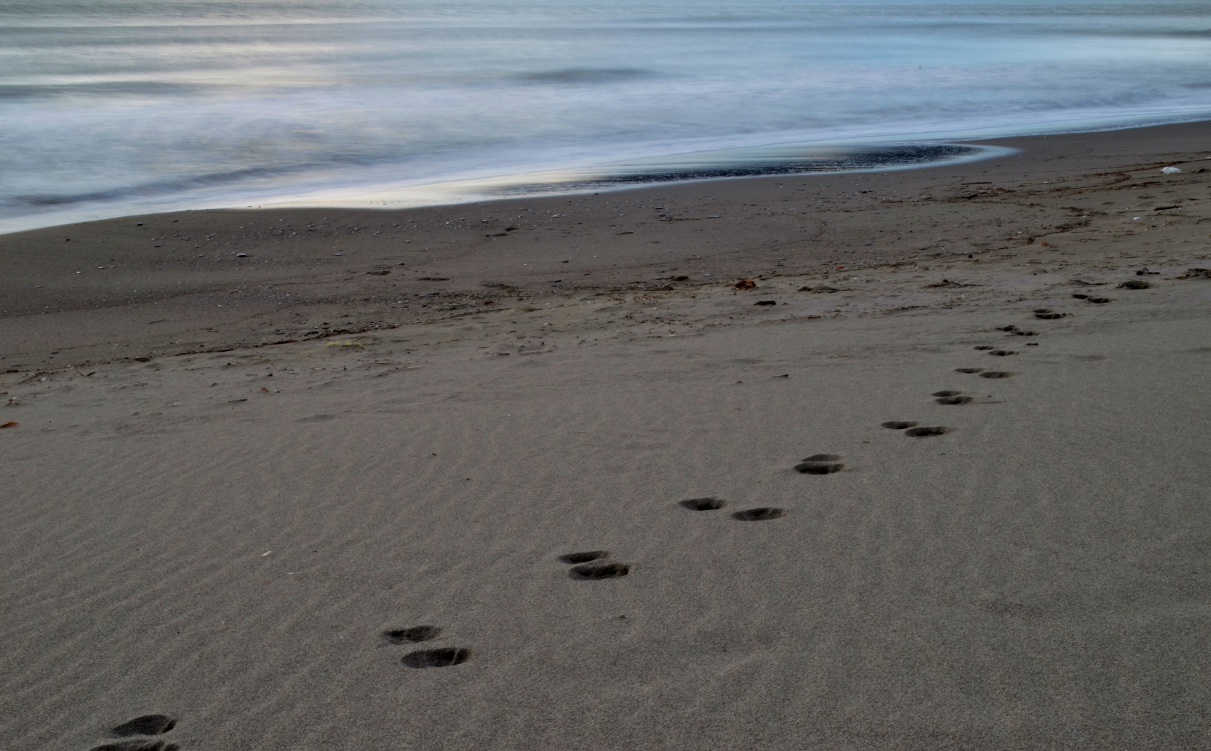 small footprints...