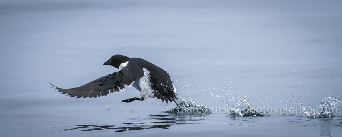 Walking on water...