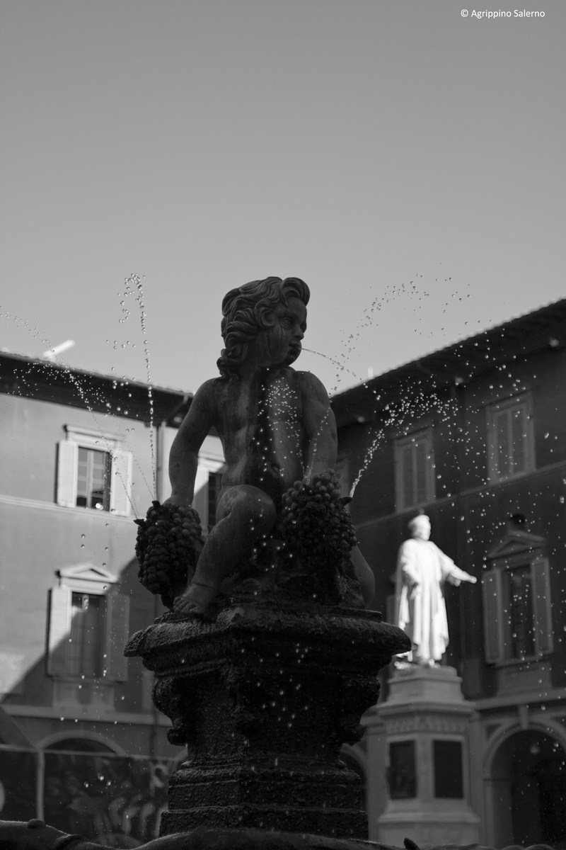 Prato, Fontana del Bacchino ...