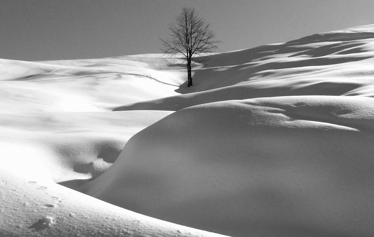 Untitled Photo...