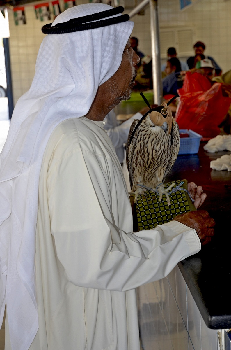Who goes to market with the dog in Dubai with the falcon...