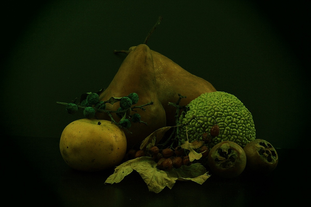 frutti d'autunno...