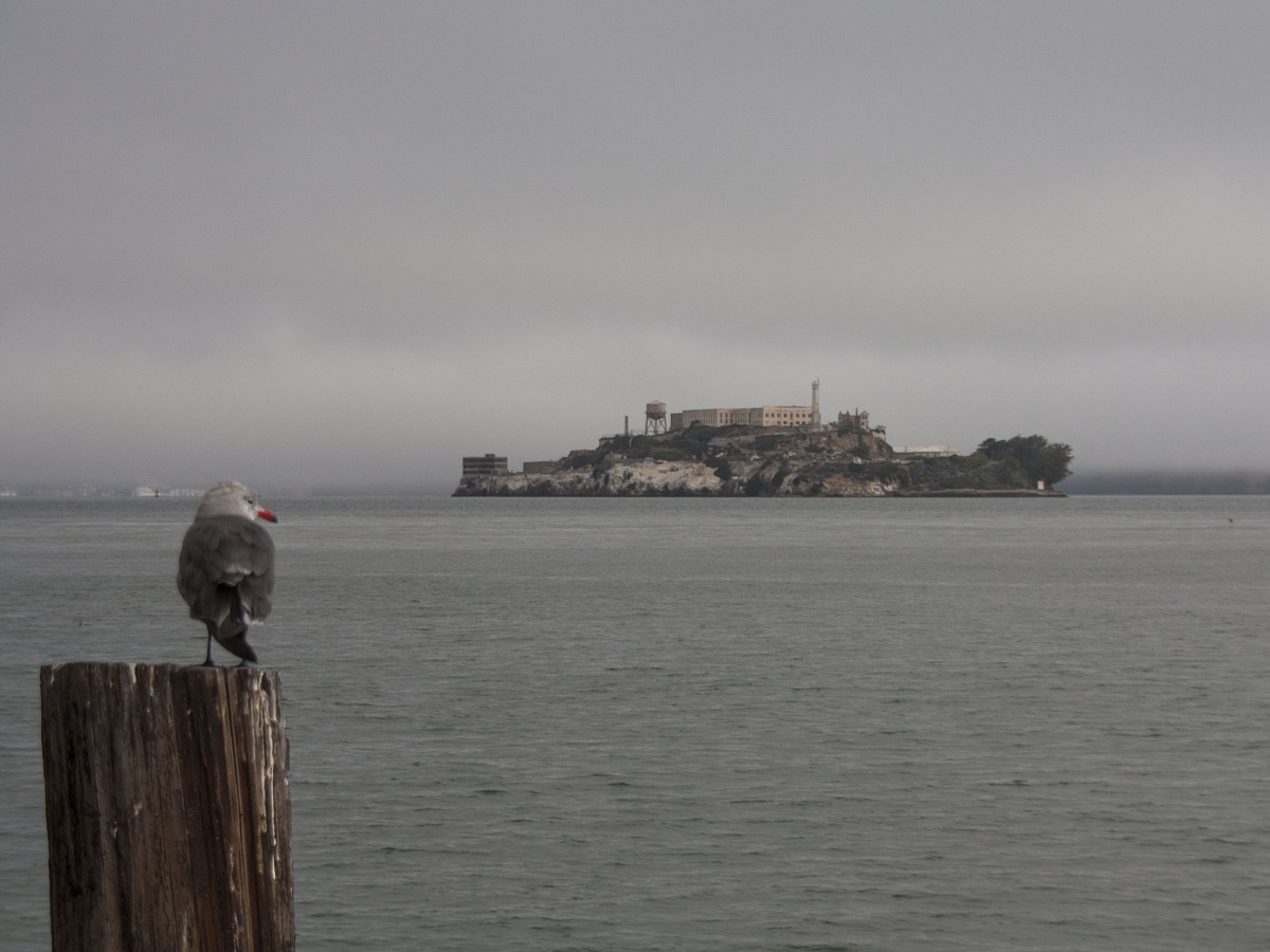 Alcatraz!...