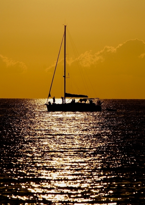 Untitled Photo...