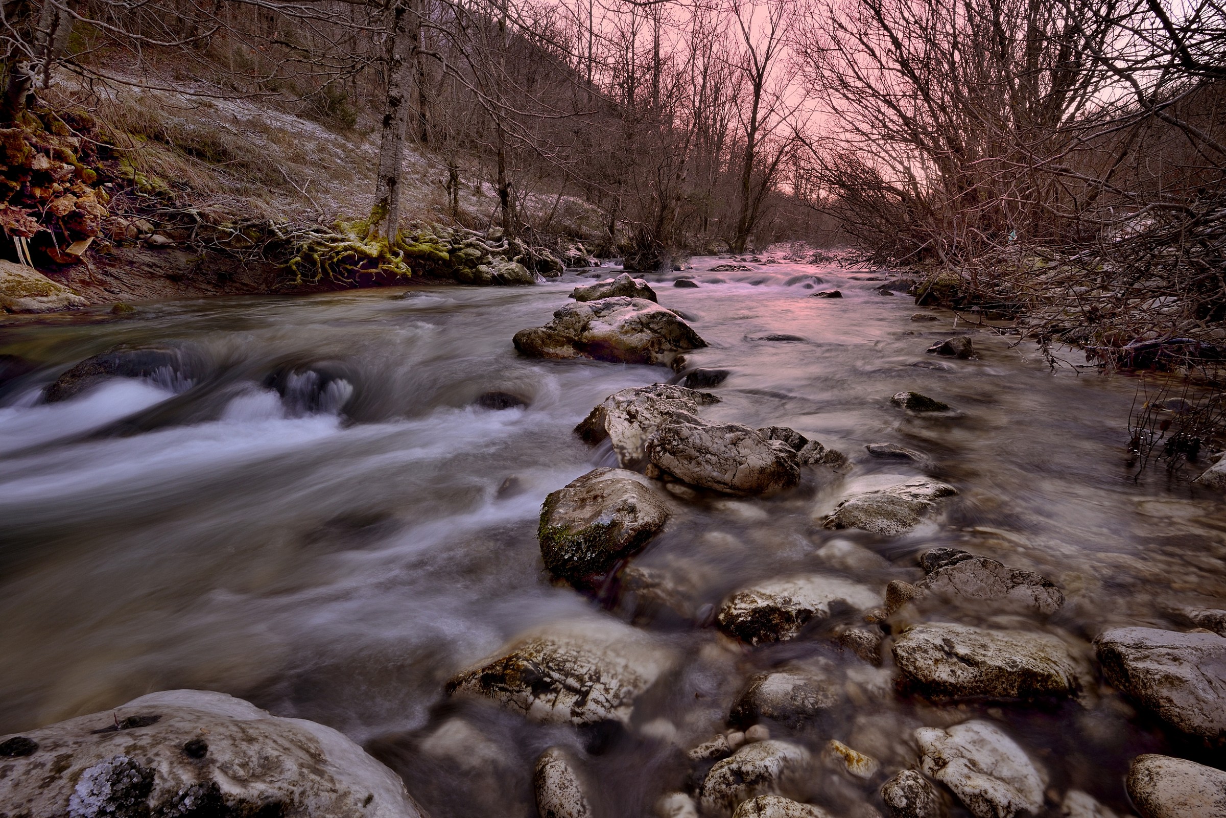 torrente...