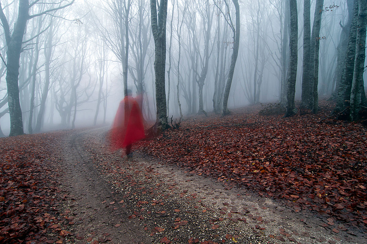 Untitled Photo...