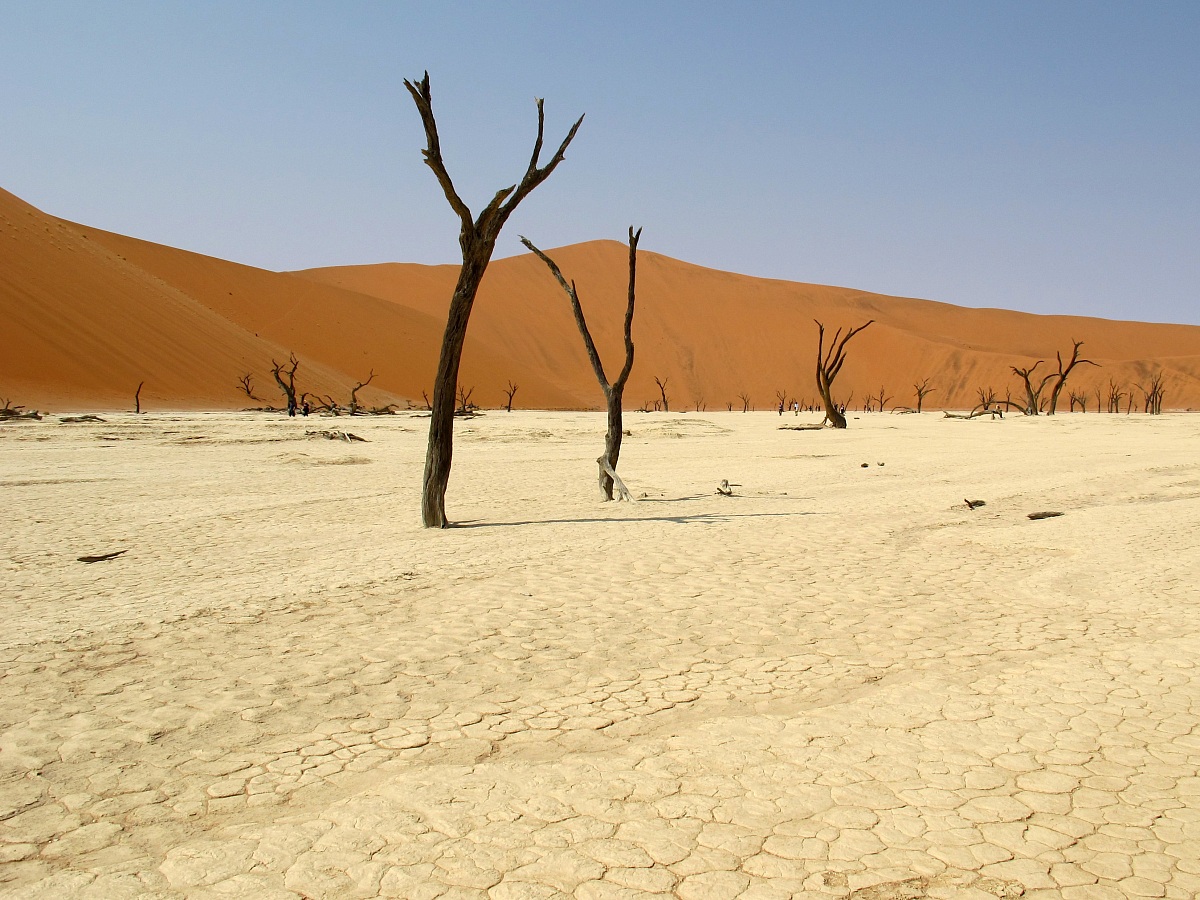 Namib-Naukluft National Park - Dead Vlei...