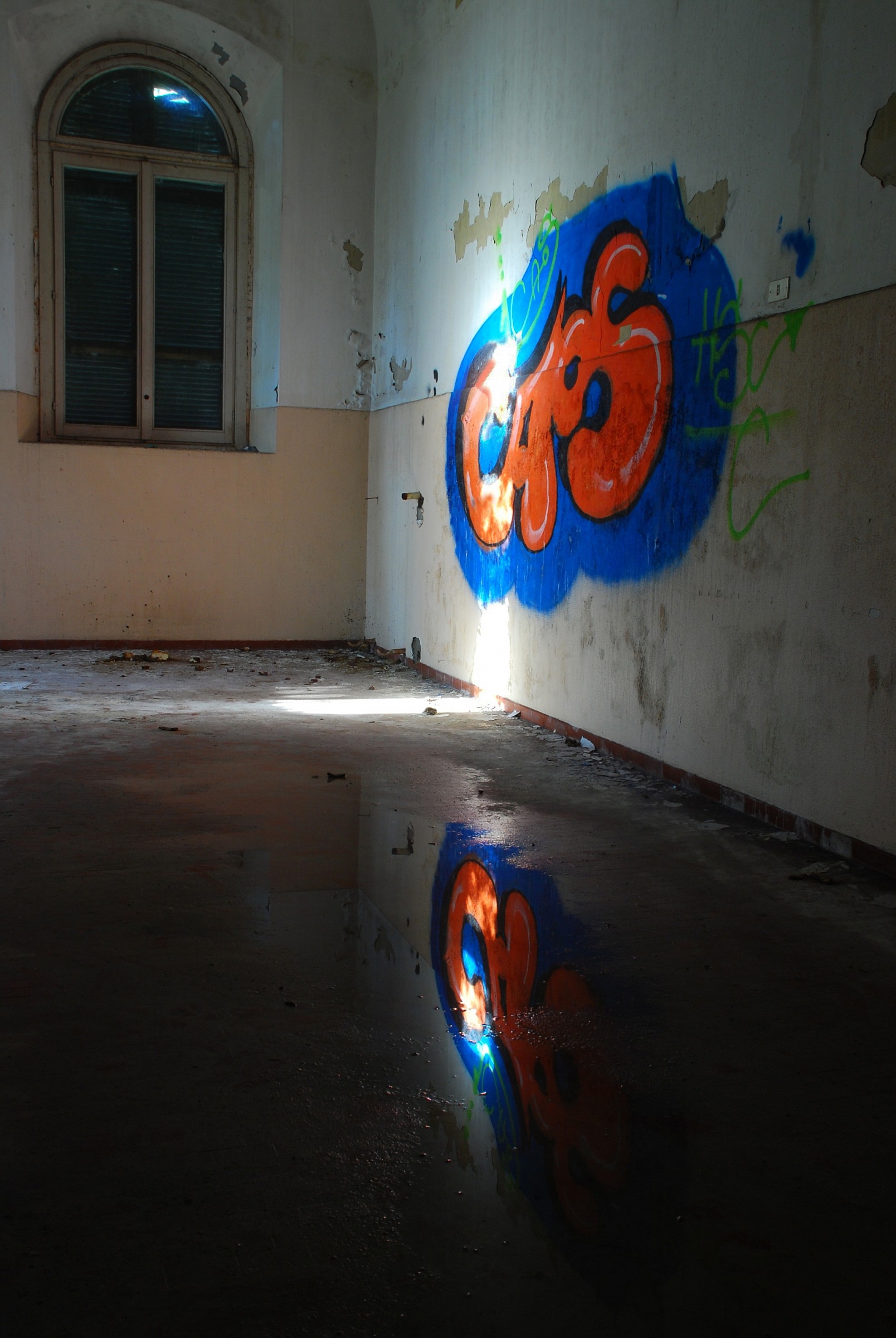 Reflection abandonment in the asylum...