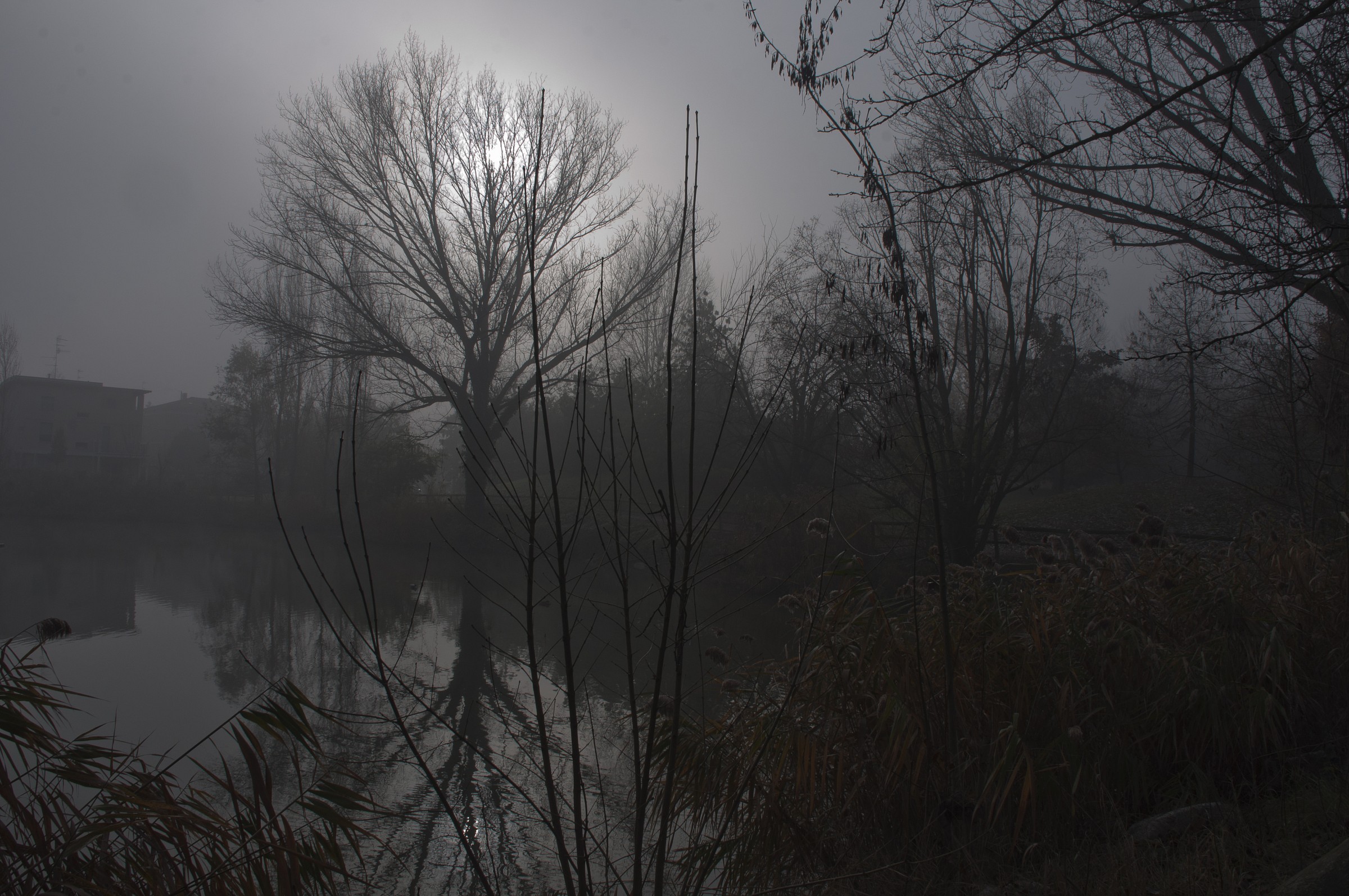 Untitled Photo...